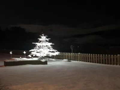 GardenWinter