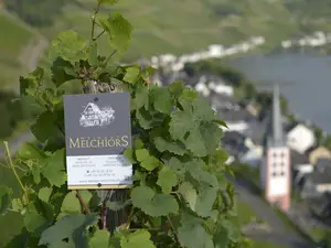 Ferienwohnung für 2 Personen (50 m²) in Zell (Mosel)