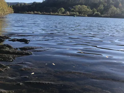 Wandern an der Mosel