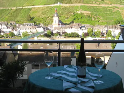 Moselblick von der Terrasse