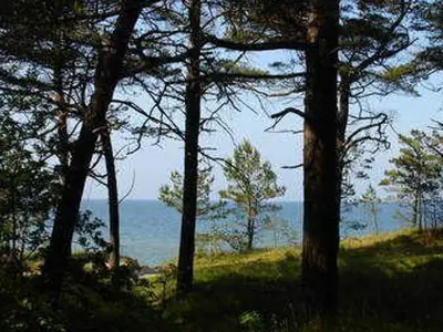 Ferienwohnung für 4 Personen (44 m²) in Zempin (Seebad) 7/10