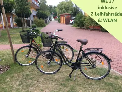 Ferienwohnung für 4 Personen (68 m²) in Zempin (Seebad) 7/10