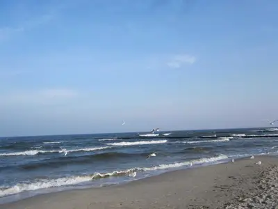 Ferienwohnung für 4 Personen (68 m²) in Zempin (Seebad) 3/10