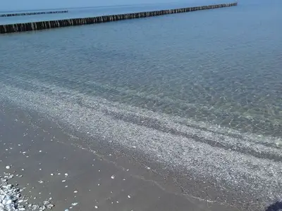 Ferienwohnung für 4 Personen (68 m²) in Zempin (Seebad) 4/10