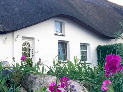 Ferienwohnung für 3 Personen (50 m²) in Zempin (Seebad) 2/10