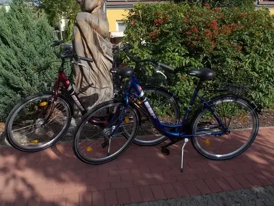 Ferienwohnung für 4 Personen (66 m²) in Zempin (Seebad) 4/10