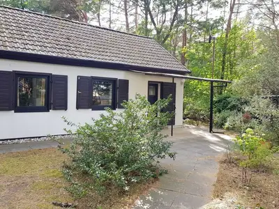 Ferienwohnung für 4 Personen (50 m²) in Zempin (Seebad) 10/10