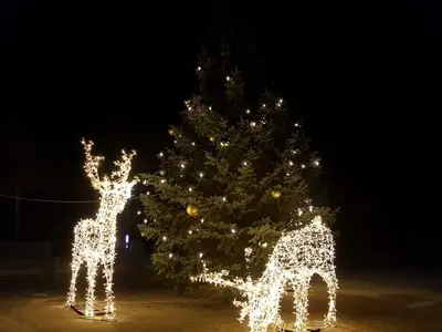 Ferienwohnung für 4 Personen (50 m²) in Zempin (Seebad) 10/10