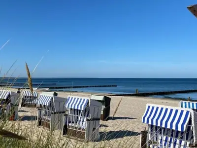 Ferienwohnung für 4 Personen (44 m²) in Zempin (Seebad) 10/10