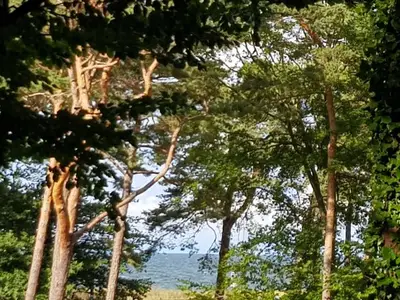 Ferienwohnung für 4 Personen (50 m²) in Zempin (Seebad) 8/10