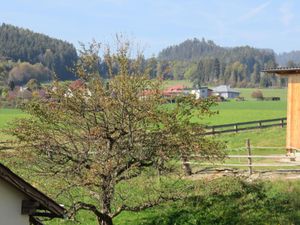 Ferienwohnung für 5 Personen (100 m&sup2;) in Zensweg