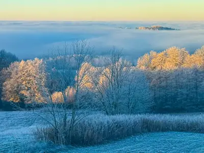 Ausblick