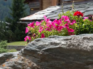 23952108-Ferienwohnung-6-Zermatt-300x225-2