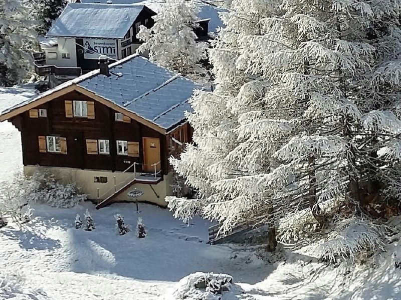 23368096-Ferienwohnung-6-Zermatt-800x600-2