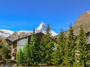 Ferienwohnung für 3 Personen (35 m²) in Zermatt