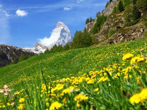 23842446-Ferienwohnung-6-Zermatt-300x225-5