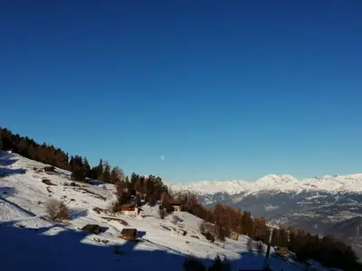 ViewWinter