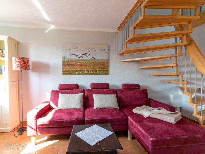 23881112-Ferienwohnung-4-Zingst (Ostseebad)-800x600-0