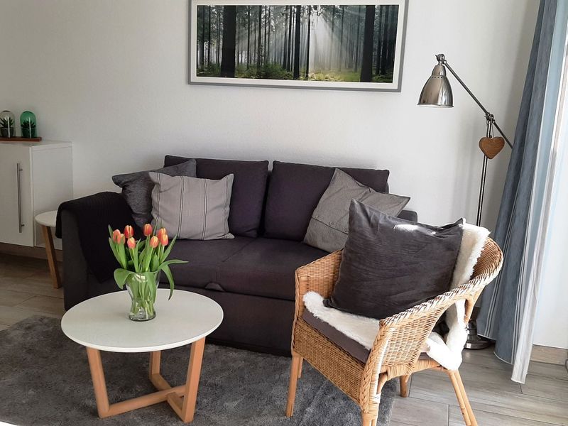 23833281-Ferienwohnung-2-Zingst (Ostseebad)-800x600-0