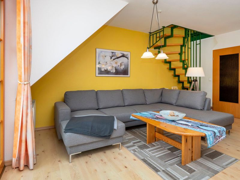 23871526-Ferienwohnung-4-Zingst (Ostseebad)-800x600-0