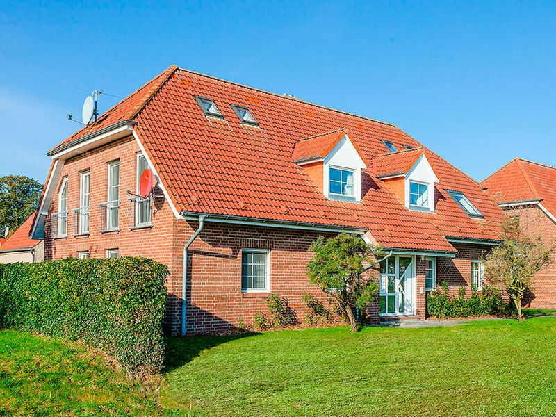 23948140-Ferienwohnung-4-Zingst (Ostseebad)-800x600-0