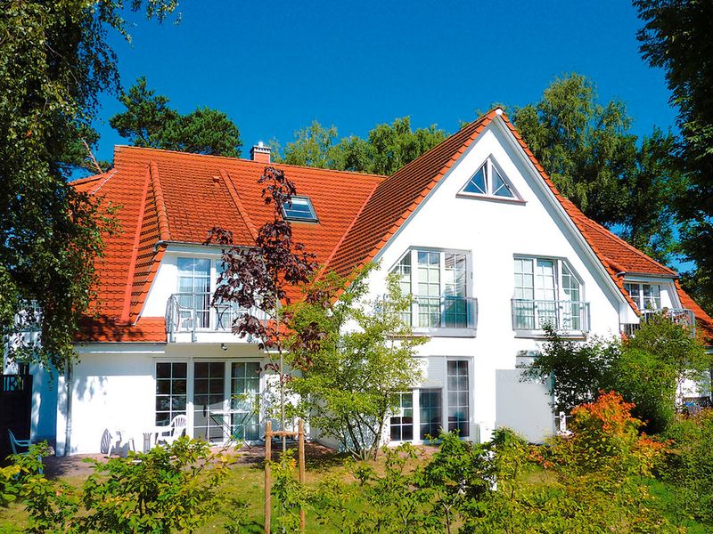 23948624-Ferienwohnung-4-Zingst (Ostseebad)-800x600-0