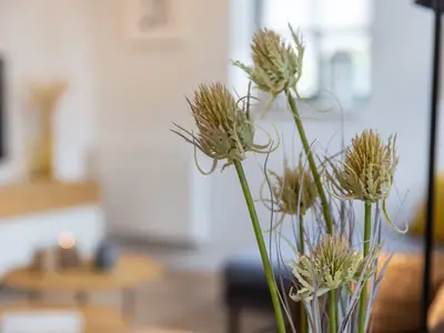 Ferienwohnung für 4 Personen (64 m²) in Zingst (Ostseebad) 7/10