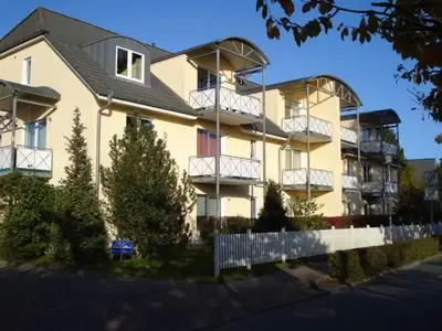Außenansicht Stranddistel