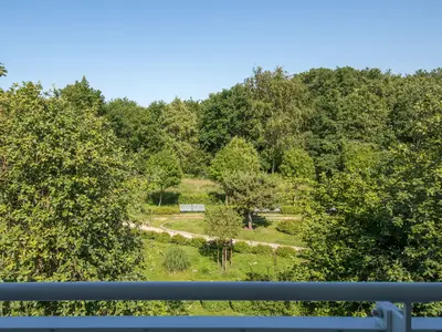 Ferienwohnung Seestern Zingst Blick in den Garten