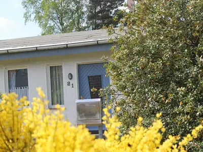 Ferienwohnung für 6 Personen (80 m²) in Zingst 1/10