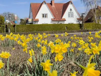 Ferienwohnung für 5 Personen (86 m²) in Zingst 2/10