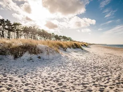 Ferienwohnung für 8 Personen (130 m²) in Zingst 4/10