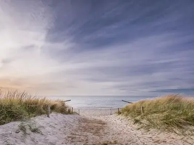Ferienwohnung für 8 Personen (130 m²) in Zingst 8/10