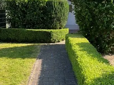 Ferienwohnung für 6 Personen (105 m²) in Zingst 4/10