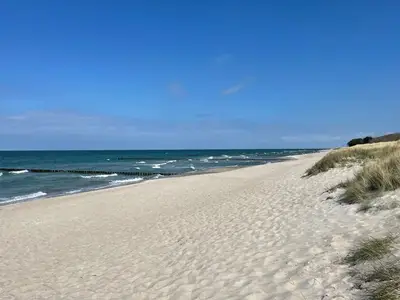 Ferienwohnung für 5 Personen (30 m²) in Zingst 10/10