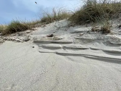 Ferienwohnung für 3 Personen (27 m²) in Zingst 10/10