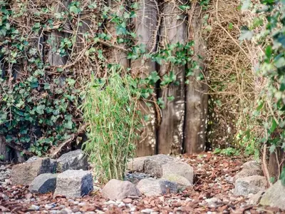 Ferienwohnung für 4 Personen (50 m²) in Zingst 2/10