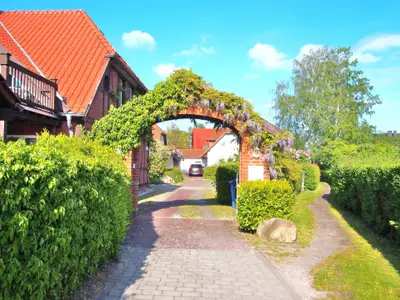 Ferienwohnung für 4 Personen (80 m²) in Zingst 1/10