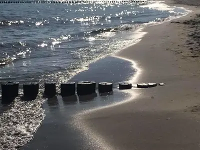 Ferienwohnung für 2 Personen (45 m²) in Zingst 3/10