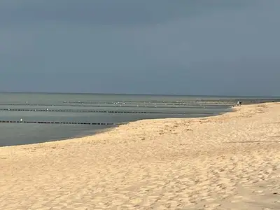 Ferienwohnung für 7 Personen (62 m²) in Zingst 8/10