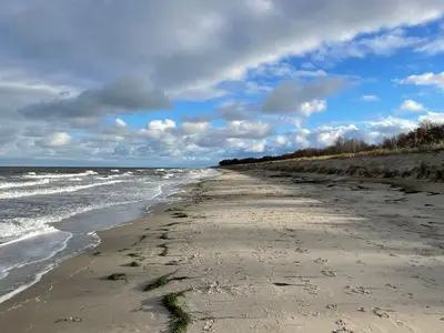 Ferienwohnung für 7 Personen (62 m²) in Zingst 9/10