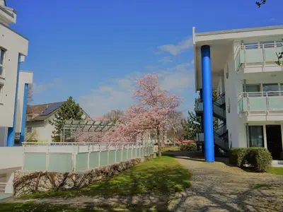 Ferienwohnung für 4 Personen (53 m²) in Zingst 1/10