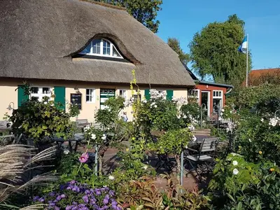 Ferienwohnung für 3 Personen (62 m²) in Zingst (Ostseebad) 1/10