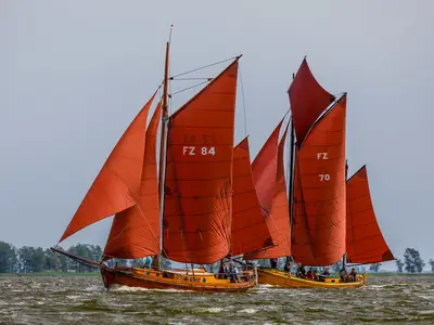 Ferienwohnung für 2 Personen (31 m²) in Zingst (Ostseebad) 10/10
