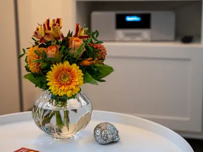 Ferienwohnung für 3 Personen (50 m²) in Zingst (Ostseebad) 5/10