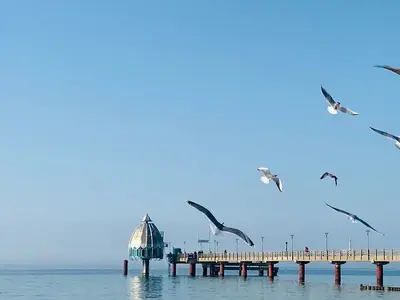 Ferienwohnung für 3 Personen (55 m²) in Zingst (Ostseebad) 10/10