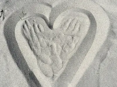 Ferienwohnung für 3 Personen (56 m²) in Zingst (Ostseebad) 9/10