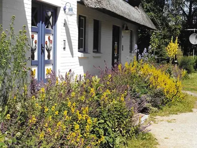 Ferienwohnung für 2 Personen (46 m²) in Zingst 2/10