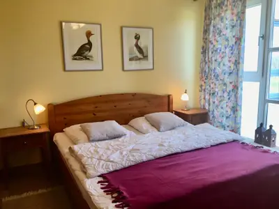 Ferienwohnung für 4 Personen (48 m²) in Zingst 9/10