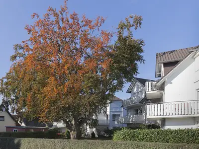 Ferienwohnung für 2 Personen (54 m²) in Zingst (Ostseebad) 1/10